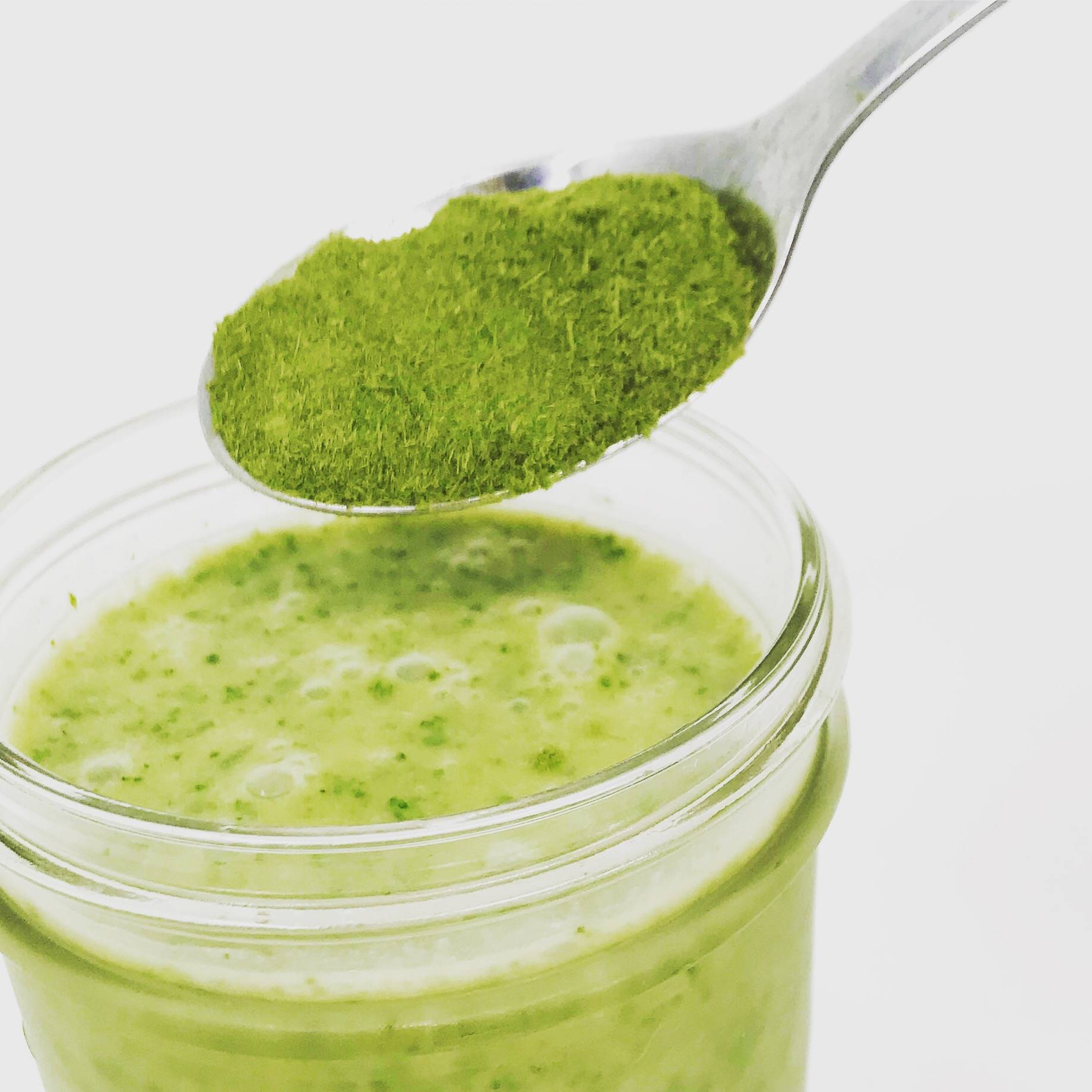 Wheatgrass powder outlet juice