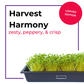 Harvest Harmony Blend 3-Pack Combo