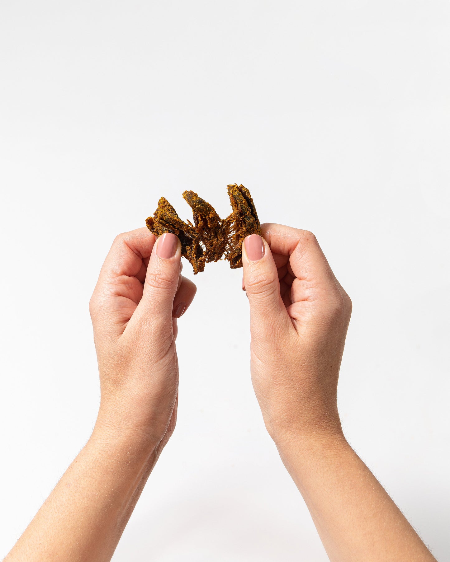 Curry Mushroom Jerky