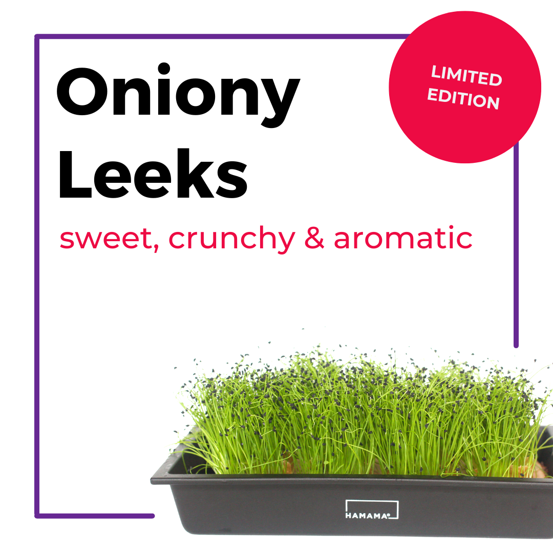 Oniony Leeks 10-Pack Seed Quilt Refill