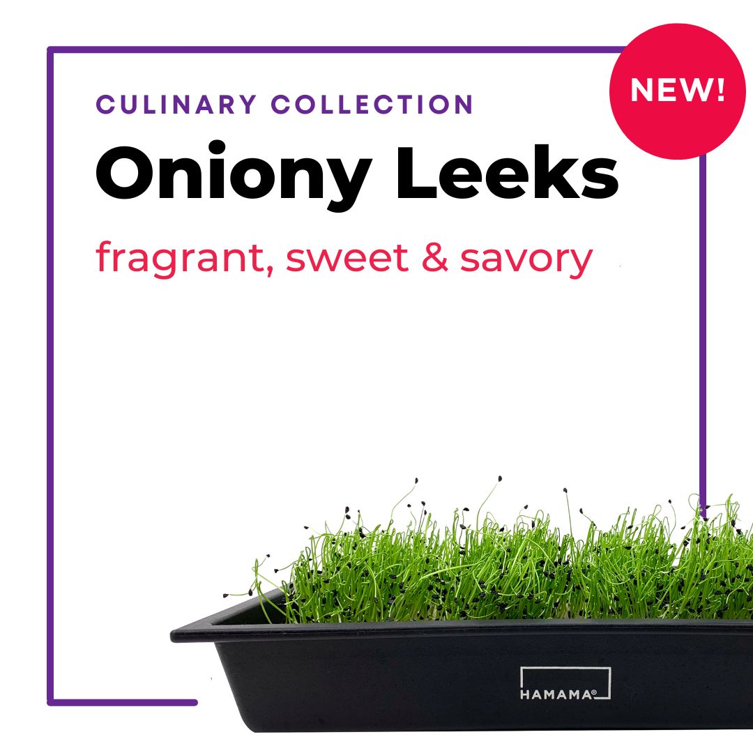 Oniony Leeks 3-Pack Seed Quilt Refill